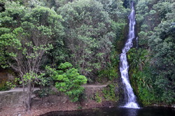 Centennial Gardens Waterfall