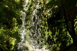 Elvy Waterfall
