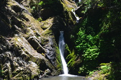 Kohuroa Stream Waterfalls