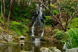 Wellington Botanic Garden Waterfall