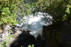 Whirinaki Falls