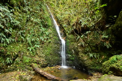 Acland Falls
