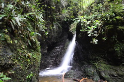 Dry Creek Waterfall