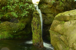 Elvy Stream Waterfall
