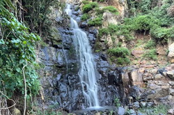 Fantail Falls