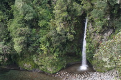 Fern Stream Waterfall