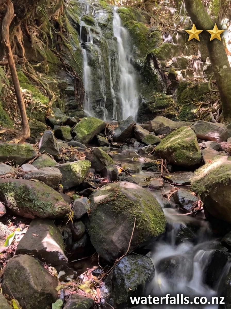 Fuchsia Falls