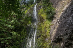 Gully Falls