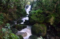 Henrys Reserve Waterfall