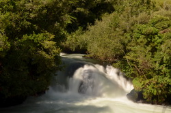 Kaituna Falls