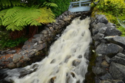 Ngatea Water Gardens Waterfall