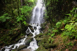 Pine Valley Waterfall