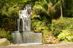 Pukekura Falls