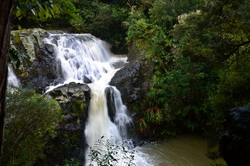 Raumanga Waterfall