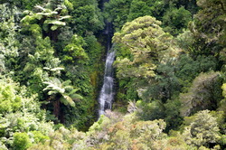 Tauwhare Falls