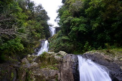 Te Rerekawau Falls