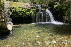 The Brook Stream Waterfalls