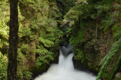Tutea Falls