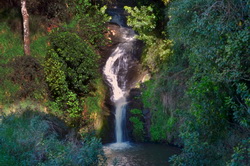 Waiheke Falls