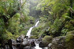 Waiotemarama Falls