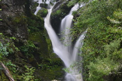 Waipori Falls