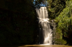 Waitangi Waterfall