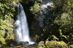 Wairere (Te Wairoa) Falls