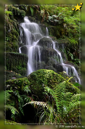 Whirinaki Forest Iconic Waterfall